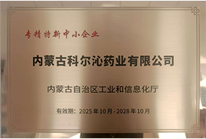 专精特新中小企业